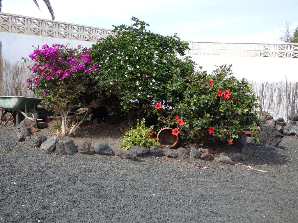 Casita De Gato Villa Tahiche Eksteriør billede