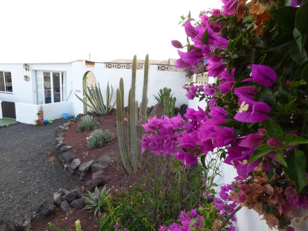 Casita De Gato Villa Tahiche Eksteriør billede